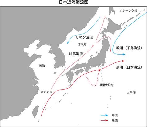 日本水流方向|日本近海の海流